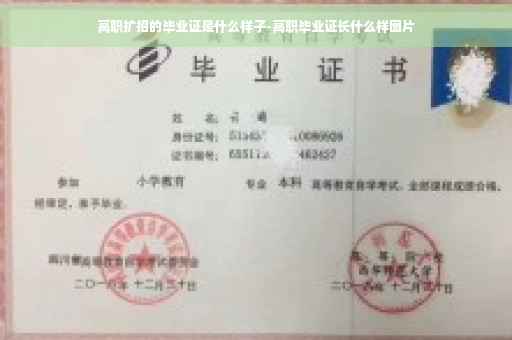 高职扩招的毕业证是什么样子-高职毕业证长什么样图片