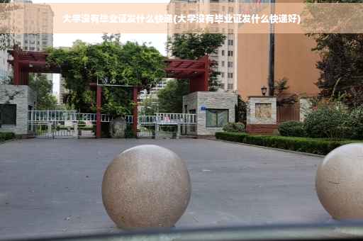 大学没有毕业证发什么快递(大学没有毕业证发什么快递好)