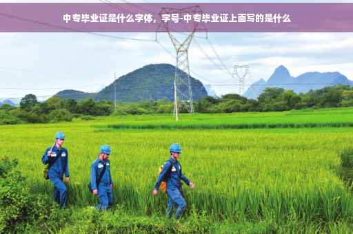 中专毕业证是什么字体，字号-中专毕业证上面写的是什么