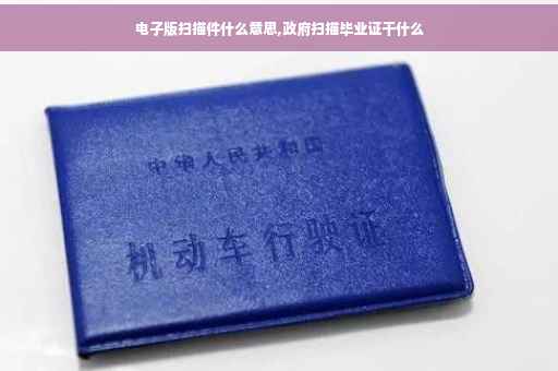 电子版扫描件什么意思,政府扫描毕业证干什么