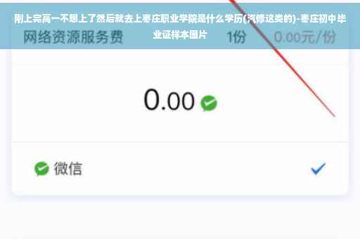 刚上完高一不想上了然后就去上枣庄职业学院是什么学历(汽修这类的)-枣庄初中毕业证样本图片