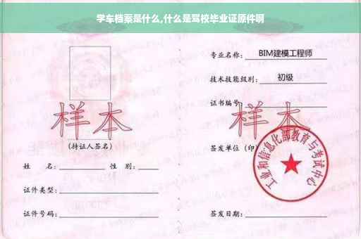 学车档案是什么,什么是驾校毕业证原件啊
