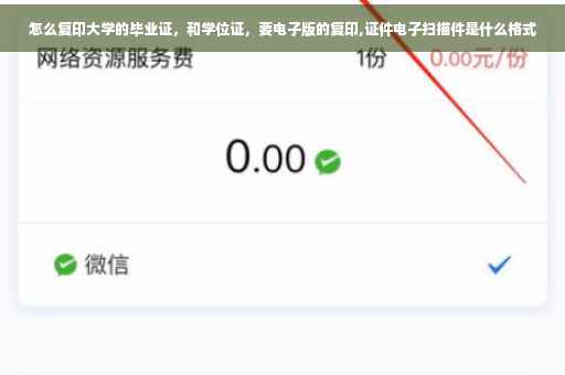 怎么复印大学的毕业证，和学位证，要电子版的复印,证件电子扫描件是什么格式