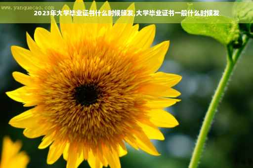 2023年大学毕业证书什么时候颁发,大学毕业证书一般什么时候发