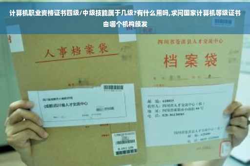 计算机职业资格证书四级/中级技能属于几级?有什么用吗,求问国家计算机等级证书由哪个机构颁发