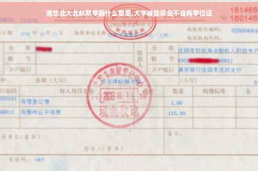 清华北大北航双学籍什么意思,大学被降级会不会有学位证