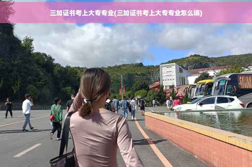 三加证书考上大专专业(三加证书考上大专专业怎么填)