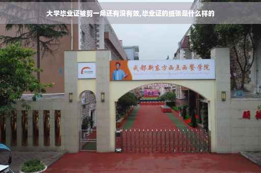 大学毕业证被剪一角还有没有效,毕业证的纸张是什么样的