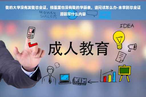 我的大学没有发我毕业证，档案里也没有我的学籍表，请问该怎么办-未拿到毕业证原因写什么内容