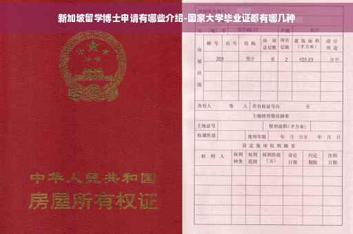 新加坡留学博士申请有哪些介绍-国家大学毕业证都有哪几种