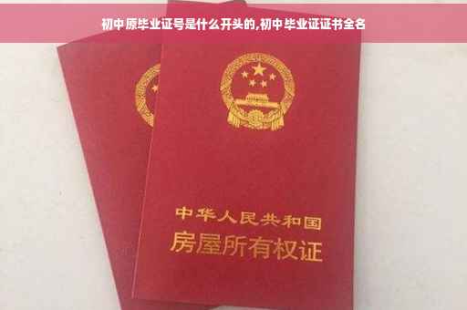 初中原毕业证号是什么开头的,初中毕业证证书全名