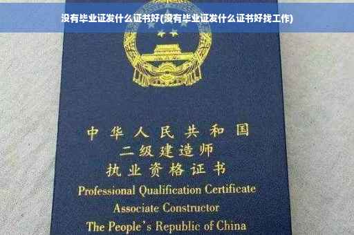 没有毕业证发什么证书好(没有毕业证发什么证书好找工作)