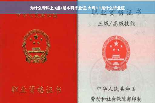 为什么专科上3加2是本科毕业证,大专3 1是什么毕业证