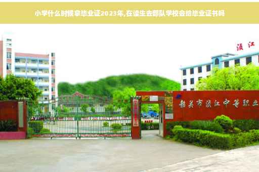 小学什么时候拿毕业证2023年,在读生去部队学校会给毕业证书吗
