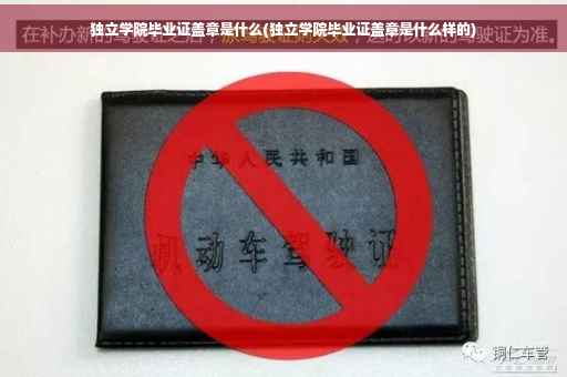 独立学院毕业证盖章是什么(独立学院毕业证盖章是什么样的)
