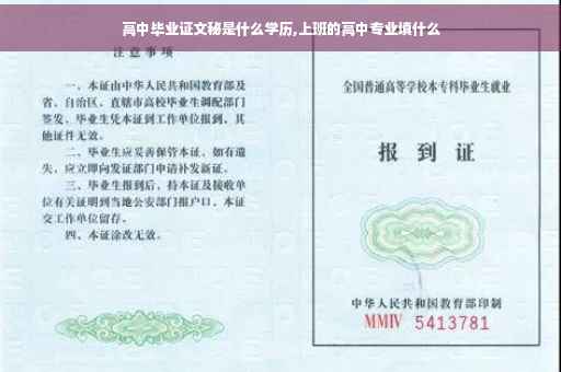 高中毕业证文秘是什么学历,上班的高中专业填什么
