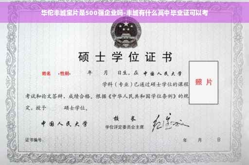 华佗丰城宝片是500强企业吗-丰城有什么高中毕业证可以考