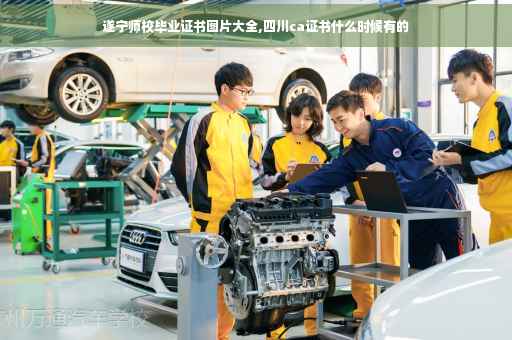 遂宁师校毕业证书图片大全,四川ca证书什么时候有的