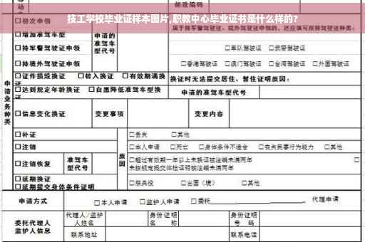 技工学校毕业证样本图片,职教中心毕业证书是什么样的?