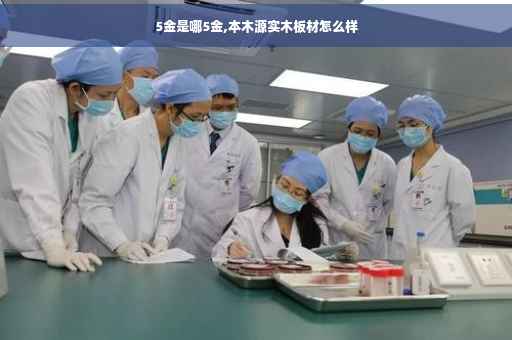 5金是哪5金,本木源实木板材怎么样