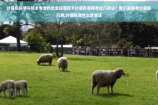 计算机科学与技术专业的毕业证等同于计算机等级考试几级证？我们需要考计算机几级,计算机是什么毕业证