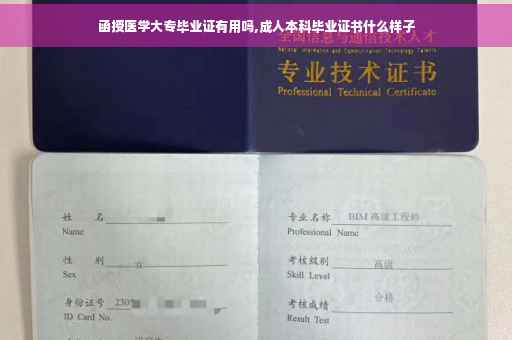 函授医学大专毕业证有用吗,成人本科毕业证书什么样子