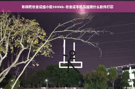 怎样把毕业证缩小到300kb-毕业证手机压缩用什么软件打印