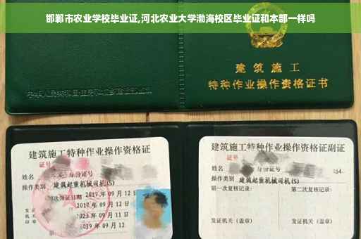 邯郸市农业学校毕业证,河北农业大学渤海校区毕业证和本部一样吗