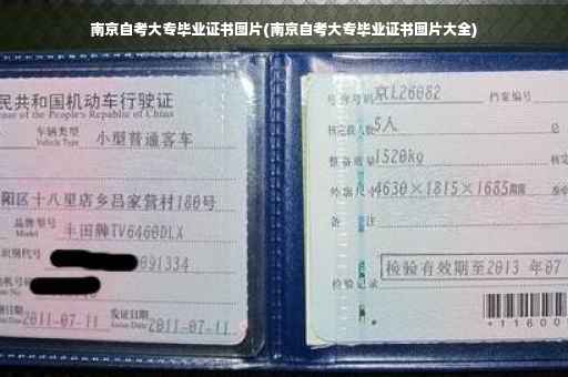 南京自考大专毕业证书图片(南京自考大专毕业证书图片大全)