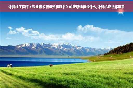 计算机工程师（专业技术职务资格证书）的获取途径是什么,计算机证书那里拿