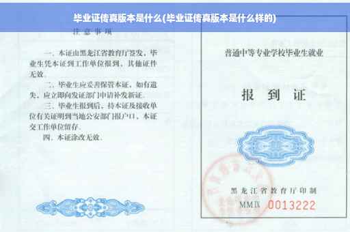 毕业证传真版本是什么(毕业证传真版本是什么样的)