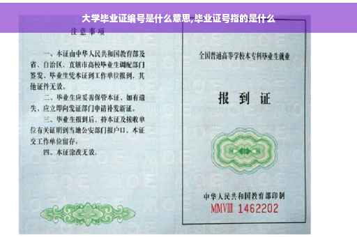 大学毕业证编号是什么意思,毕业证号指的是什么