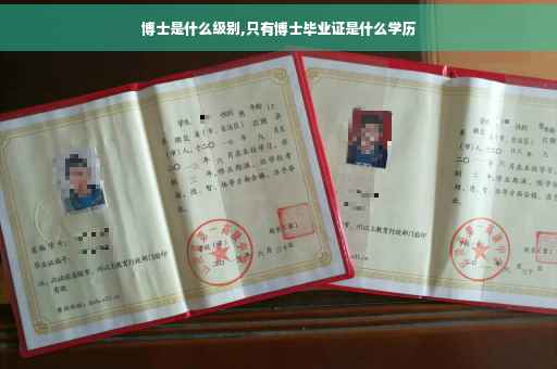 博士是什么级别,只有博士毕业证是什么学历
