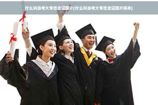 什么叫自考大专毕业证图片(什么叫自考大专毕业证图片样本)