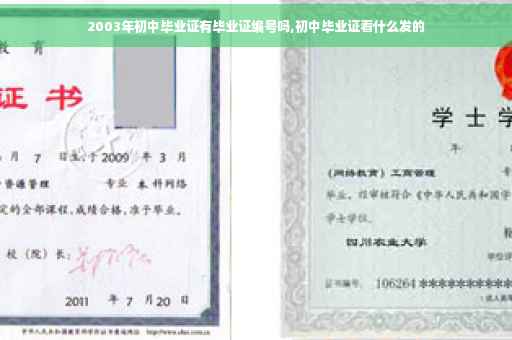 2003年初中毕业证有毕业证编号吗,初中毕业证看什么发的