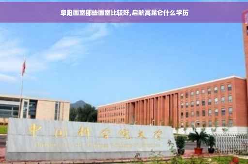 阜阳画室那些画室比较好,启航高昆仑什么学历