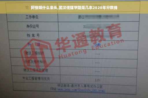 阿悄姐什么来头,武汉传媒学院是几本2020年分数线