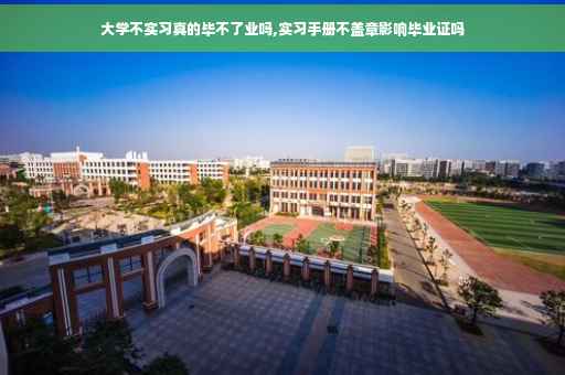 大学不实习真的毕不了业吗,实习手册不盖章影响毕业证吗
