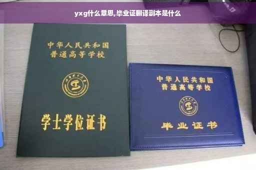 yxg什么意思,毕业证翻译副本是什么