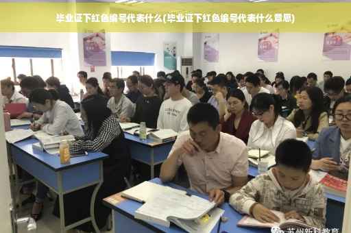 毕业证下红色编号代表什么(毕业证下红色编号代表什么意思)