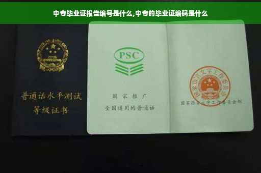 中专毕业证报告编号是什么,中专的毕业证编码是什么