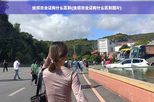 统招毕业证有什么区别(统招毕业证有什么区别图片)