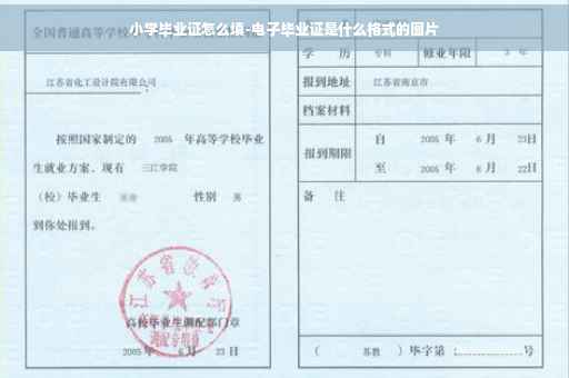 小学毕业证怎么填-电子毕业证是什么格式的图片