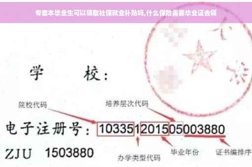 专套本毕业生可以领取社保就业补贴吗,什么保险需要毕业证去领
