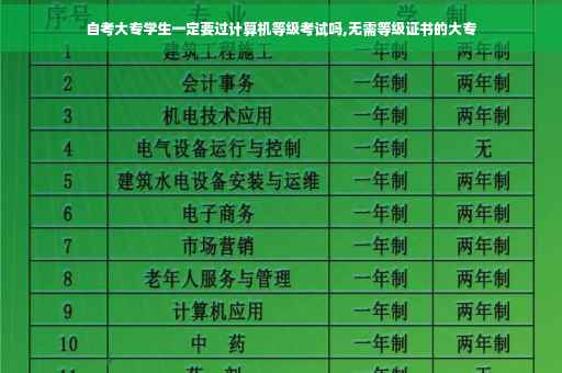 自考大专学生一定要过计算机等级考试吗,无需等级证书的大专