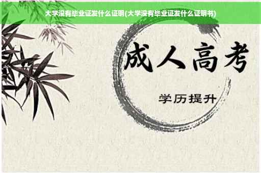 大学没有毕业证发什么证明(大学没有毕业证发什么证明书)