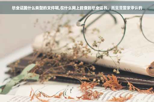 毕业证属什么类型的文件呢,在什么网上能查到毕业证书，而且是国家承认的