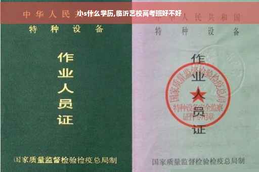 小s什么学历,临沂艺校高考班好不好