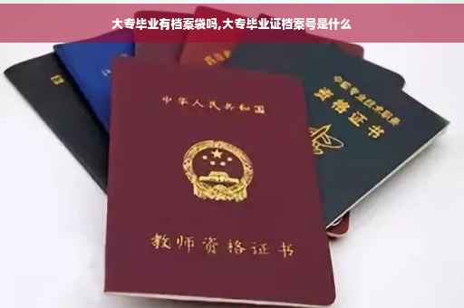 大专毕业有档案袋吗,大专毕业证档案号是什么