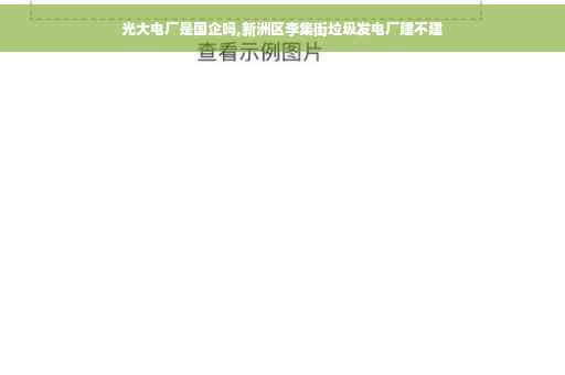 光大电厂是国企吗,新洲区李集街垃圾发电厂建不建